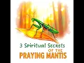 3 SPIRITUAL SECRETS of Praying Mantis You Never Knew