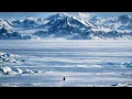 L’Amour Toujours Orchestra X Tanzen Version RMX 