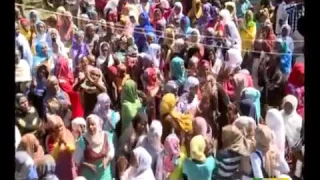 በጅማ የመውሊድ በዓል አከባበር ታህሳስ 02 2009 