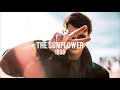 Nick Leng - Leaves