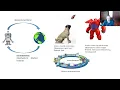 Channel