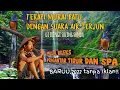 Download Lagu murai batu gacor dengan suara air terjun dan suling sunda,dijamin rileks!! burung pun jadi gacor!!