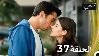 عروسات هاربات الحلقة 37 الدبلجة العربية 