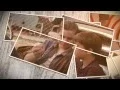 Download Lagu Avicii - Hey Brother (VJ Percy Mix Video)