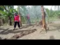 Download Lagu Lahan ini kami bagi dua||setelah saya bersih kan