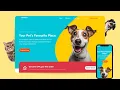 How To Make Website Using HTML And CSS Pet Shop Website