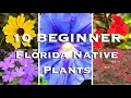 Download Lagu 10 BEST BEGINNER Florida Native Plants