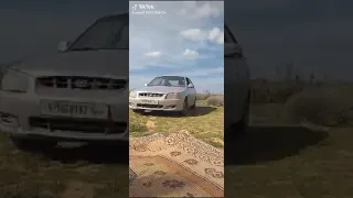 ركابين الفيرنا 