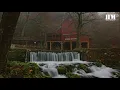 Kyla - Cut Your Teeth (Kygo Remix) [lyric]