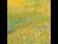 Exciting Spring