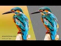 How to Remove Image Background in GIMP
