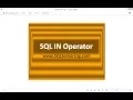 14 - SQL IN Operator
