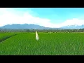 Download Lagu KACAPI SULING SUNDA DALAM PANORAMA ALAM MENAKJUBKAN