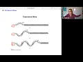 phys2A ch16 1 The Nature of Waves