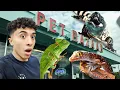 I went to this AWESOME Reptile Store in FLORIDA Florida Series EP 1