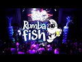 Por Favor Señora - Maelo Ruiz - Rumba Fish 2020