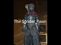 Dragon s Dogma Dark Arisen The Strider Pawn