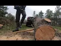 Kobalt 80V chainsaw vs 45cc gas chainsaw