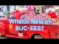 SPRINGFIELD MO BUC-EES is the Ultimate Travel Stop I-44