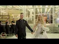 زهير فرنسيس وفرقته الموسيقيه | افراح ال اشقر حفلة الدكتور بسيل والدكتوره سوزان