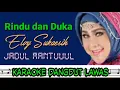 Download Lagu RINDU DAN DUKA//ELVY SUKAESIH//KARAOKE DANGDUT LAWAS