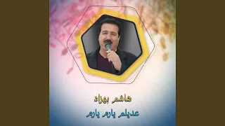 عديلم يارم يارم دندنها
