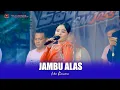 Lagu JAMBU ALAS - ICHA KISWARA - OM SAVANA SAKJOSE - THE WEDDING ( PEDRO \u0026 ADILA )