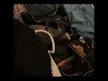 REEZY - SABÍA QUE NO - 1HOUR MUSIC