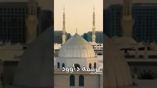 دعوة ابراهيم ونبوءة موسى دندنها