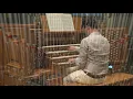 Händel - Largo from "Xerxes"