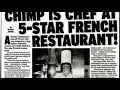 Hilarious Headlines Gone Bananas