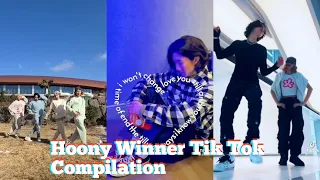 Download Hoony Tik Tok Compilation 2022 #2 MP3