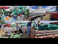 Download Lagu Feira da ração porteiras forrageira em cachoeirinha-Pe 02-10-2025