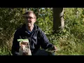 What to Feed Hedgehogs The RSPB