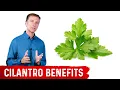 What Is Cilantro Good For