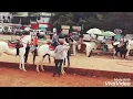 Lagu 🏇 horse riding 🏇 Daivat ChatraPati \
