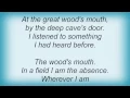 Carpathian Forest - In Silence I Observe Lyrics