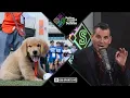 Spring training stats DO NOT MATTER Nothing Personal with David Samson