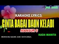 Download Lagu CINTA BAGAI DAUN KELADI || MANSUR S || KARAOKE DANGDUT ||NADA WANITA @Jonsmusic