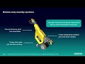 Large Assembly Best Practices in Solid Edge