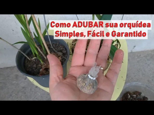 DICAS DONA MARIA COMO ADUBAR SUAS ORQUÍDEAS SIMPLES, FÁCIL E GARANTIDO