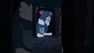 Tom Looks Very Sad حالات واتس اب حزين توم  Tom Looks Very Sad حالات واتس اب حزين توم