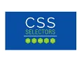 CSS - Selector Forms