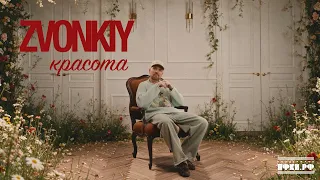 Zvonkiy - Красота
