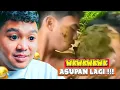 Langsung gercep nyawer !!! MEME FOR LAUGH EPS 451