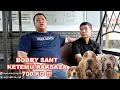 Download Lagu Bobby Sant Ketemu Raksasa 700 Kg Di Penitipan Anjing Terbesar Di Indonesia