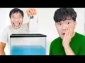 Download Lagu PHD | I Dare To Do, You Dare To Do