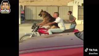 اركب ياعبده الطفل المضحك   توزيع هشام هاني      دندنها