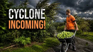 Harvesting 100s of Fruits... Then the Cyclone Arrived