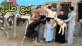 فلم قصير. طلي عيد الأضحى 